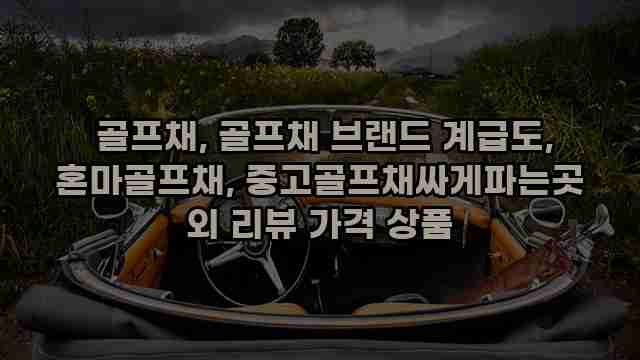  골프채, 골프채 브랜드 계급도, 혼마골프채, 중고골프채싸게파는곳 외 리뷰 가격 상품