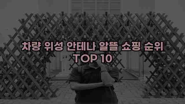 차량 위성 안테나 알뜰 쇼핑 순위 TOP 10