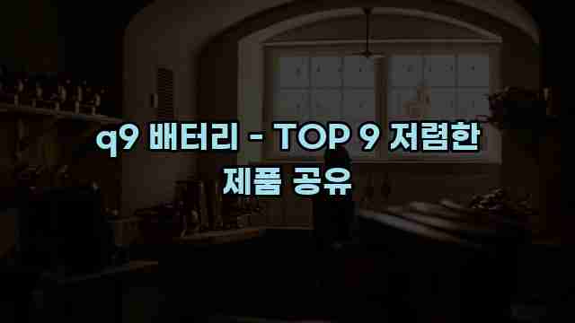 q9 배터리 - TOP 9 저렴한 제품 공유