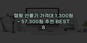 알리파파의 가성비 알리 제품 추천 14196 119