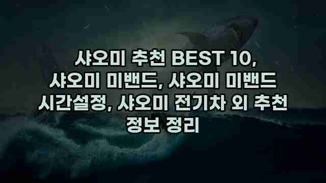  샤오미 추천 BEST 10, 샤오미 미밴드, 샤오미 미밴드 시간설정, 샤오미 전기차 외 추천 정보 정리