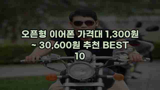 오픈형 이어폰 가격대 1,300원 ~ 30,600원 추천 BEST 10
