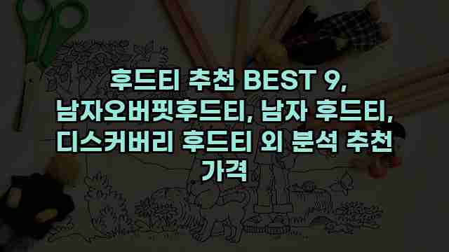  후드티 추천 BEST 9, 남자오버핏후드티, 남자 후드티, 디스커버리 후드티 외 분석 추천 가격