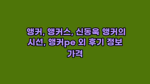  앵커, 앵커스, 신동욱 앵커의 시선, 앵커pe 외 후기 정보 가격