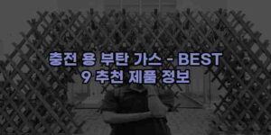 알리파파의 가성비 알리 제품 추천 13880 80