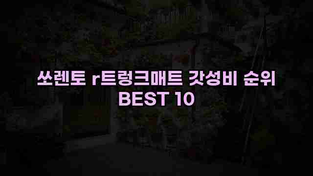 쏘렌토 r트렁크매트 갓성비 순위 BEST 10