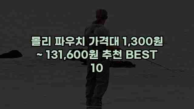 몰리 파우치 가격대 1,300원 ~ 131,600원 추천 BEST 10