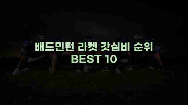 배드민턴 라켓 갓심비 순위 BEST 10