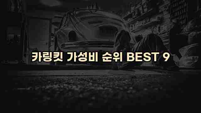 카링킷 가성비 순위 BEST 9