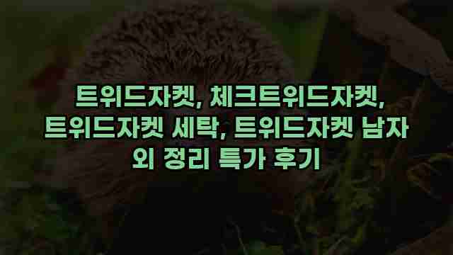  트위드자켓, 체크트위드자켓, 트위드자켓 세탁, 트위드자켓 남자 외 정리 특가 후기