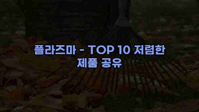 플라즈마 - TOP 10 저렴한 제품 공유