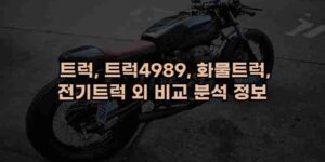 알리파파의 가성비 알리 제품 추천 28932 12