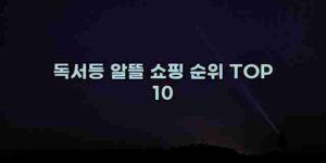 알리파파의 가성비 알리 제품 추천 17277 81