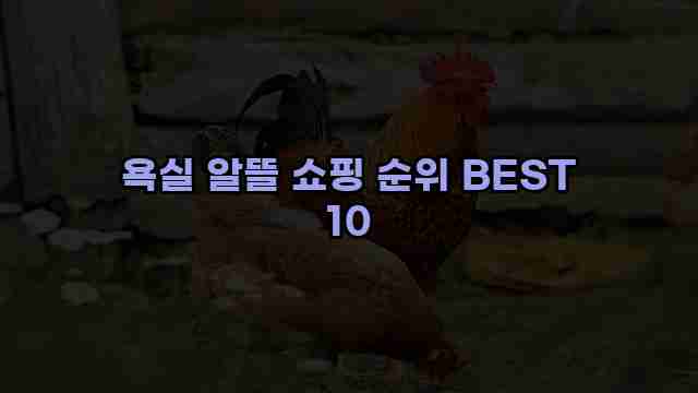 욕실 알뜰 쇼핑 순위 BEST 10