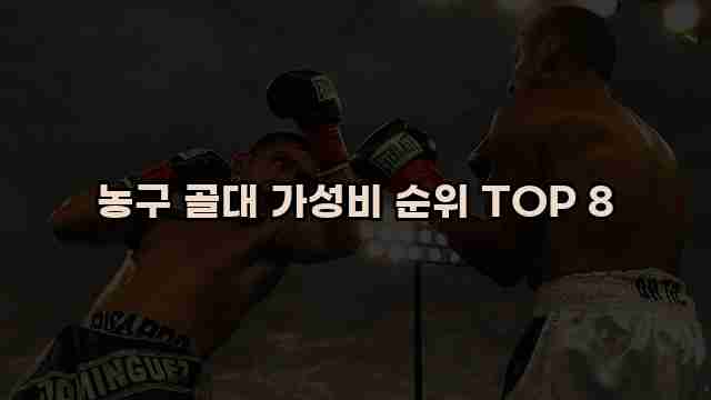 농구 골대 가성비 순위 TOP 8