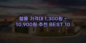 알리파파의 가성비 알리 제품 추천 49637 14