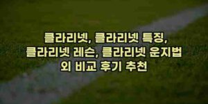 알리파파의 가성비 알리 제품 추천 14927 1