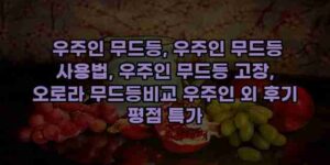 알리파파의 가성비 알리 제품 추천 17277 70