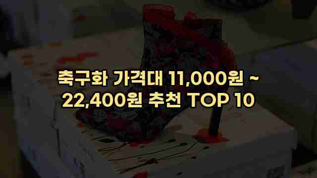 축구화 가격대 11,000원 ~ 22,400원 추천 TOP 10