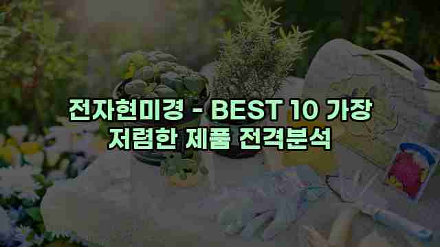 전자현미경 - BEST 10 가장 저렴한 제품 전격분석