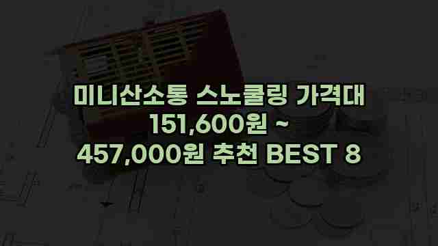 미니산소통 스노쿨링 가격대 151,600원 ~ 457,000원 추천 BEST 8