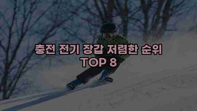 충전 전기 장갑 저렴한 순위 TOP 8