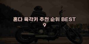 알리파파의 가성비 알리 제품 추천 15468 1