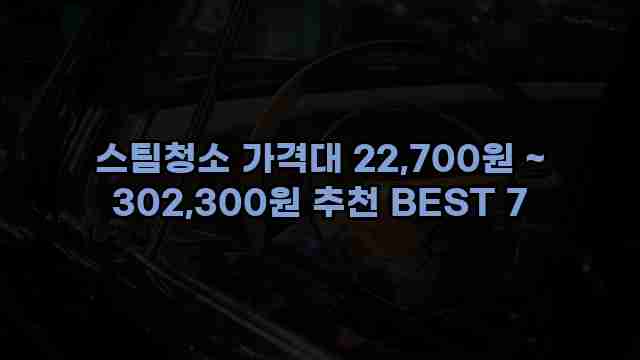 스팀청소 가격대 22,700원 ~ 302,300원 추천 BEST 7