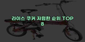 알리파파의 가성비 알리 제품 추천 16021 1