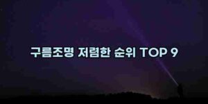 알리파파의 가성비 알리 제품 추천 17277 17