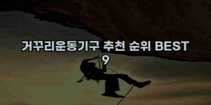 알리파파의 가성비 알리 제품 추천 26804 13