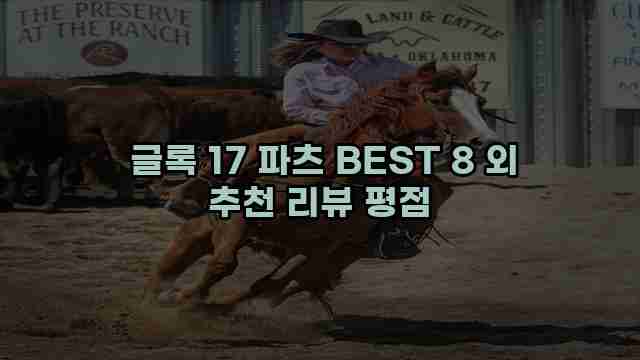  글록 17 파츠 BEST 8 외 추천 리뷰 평점