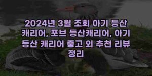 알리파파의 가성비 알리 제품 추천 16922 29