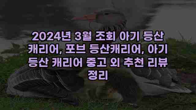 2024년 3월 조회 아기 등산 캐리어, 포브 등산캐리어, 아기 등산 캐리어 중고 외 추천 리뷰 정리