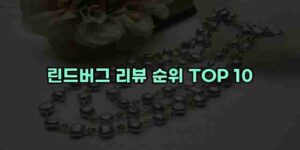 알리파파의 가성비 알리 제품 추천 18237 53