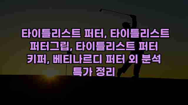  타이틀리스트 퍼터, 타이틀리스트 퍼터그립, 타이틀리스트 퍼터 키퍼, 베티나르디 퍼터 외 분석 특가 정리