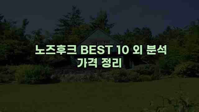  노즈후크 BEST 10 외 분석 가격 정리