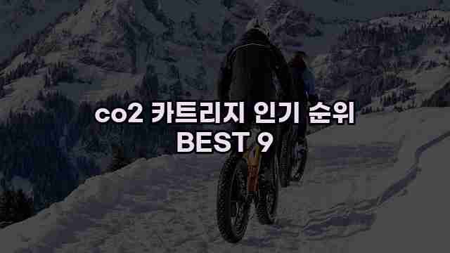 co2 카트리지 인기 순위 BEST 9