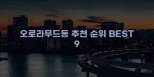 알리파파의 가성비 알리 제품 추천 18674 125