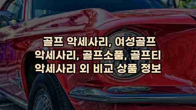  골프 악세사리, 여성골프 악세사리, 골프소품, 골프티 악세사리 외 비교 상품 정보