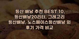 알리파파의 가성비 알리 제품 추천 17895 43