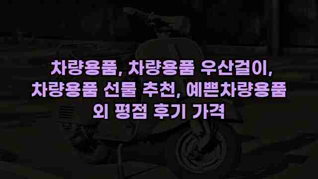  차량용품, 차량용품 우산걸이, 차량용품 선물 추천, 예쁜차량용품 외 평점 후기 가격