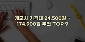 알리파파의 가성비 알리 제품 추천 28205 30