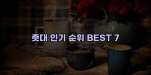 알리파파의 가성비 알리 제품 추천 23811 15