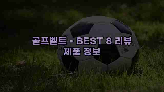 골프벨트 - BEST 8 리뷰 제품 정보