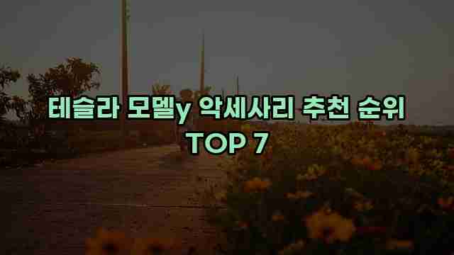 테슬라 모델y 악세사리 추천 순위 TOP 7