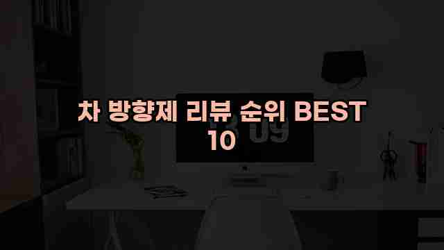 차 방향제 리뷰 순위 BEST 10