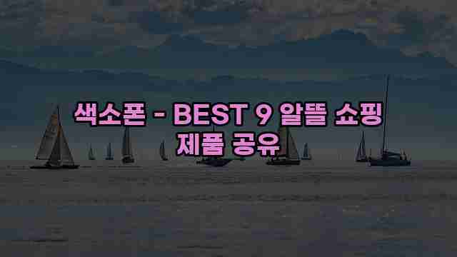 색소폰 - BEST 9 알뜰 쇼핑 제품 공유