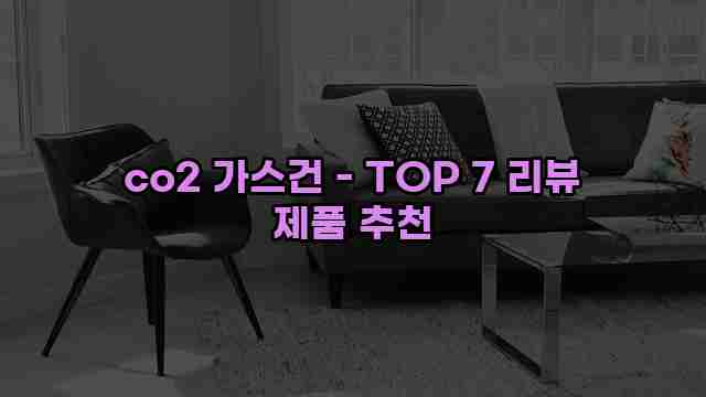 co2 가스건 - TOP 7 리뷰 제품 추천