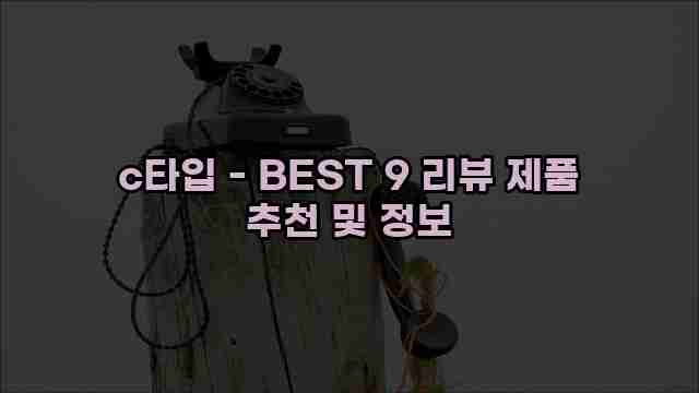 c타입 - BEST 9 리뷰 제품 추천 및 정보